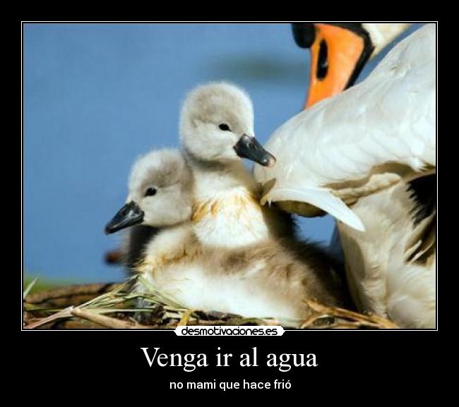 carteles ffd desmotivaciones