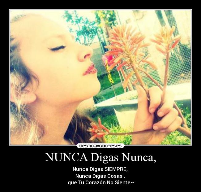 NUNCA Digas Nunca, -