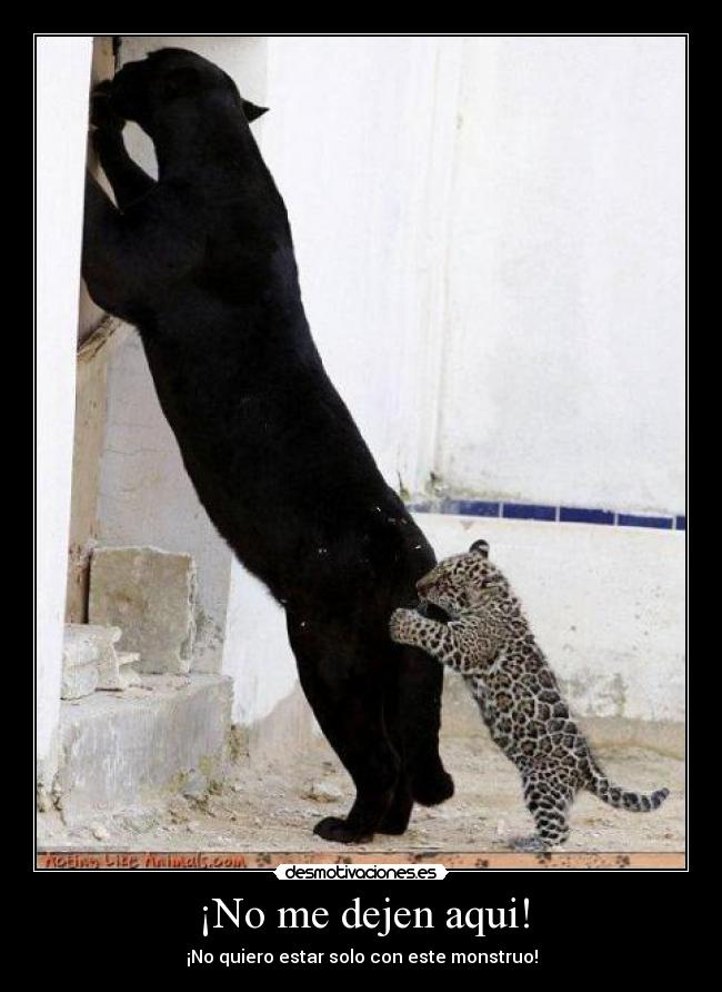 ¡No me dejen aqui! - ¡No quiero estar solo con este monstruo!