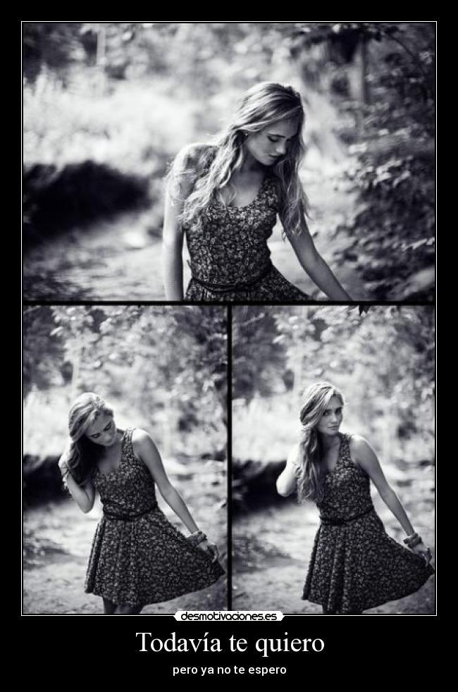 Todavía te quiero -
