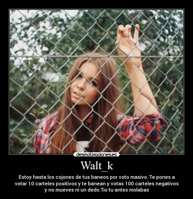 Walt_k - Estoy hasta los cojones de tus baneos por voto masivo. Te pones a
votar 10 carteles positivos y te banean y votas 100 carteles negativos
y no mueves ni un dedo.Tio tu antes molabas