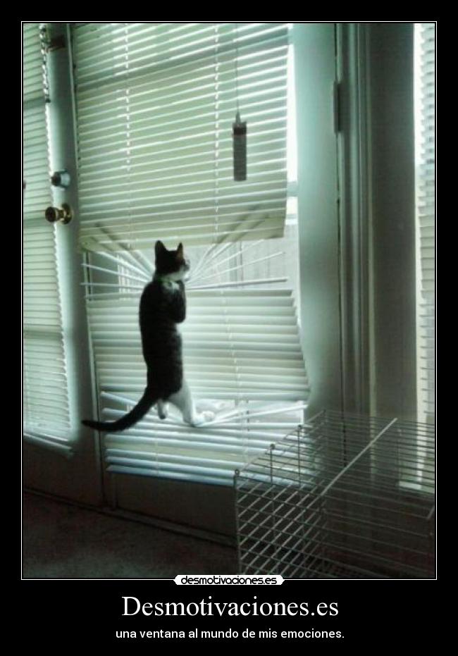Desmotivaciones.es - una ventana al mundo de mis emociones.