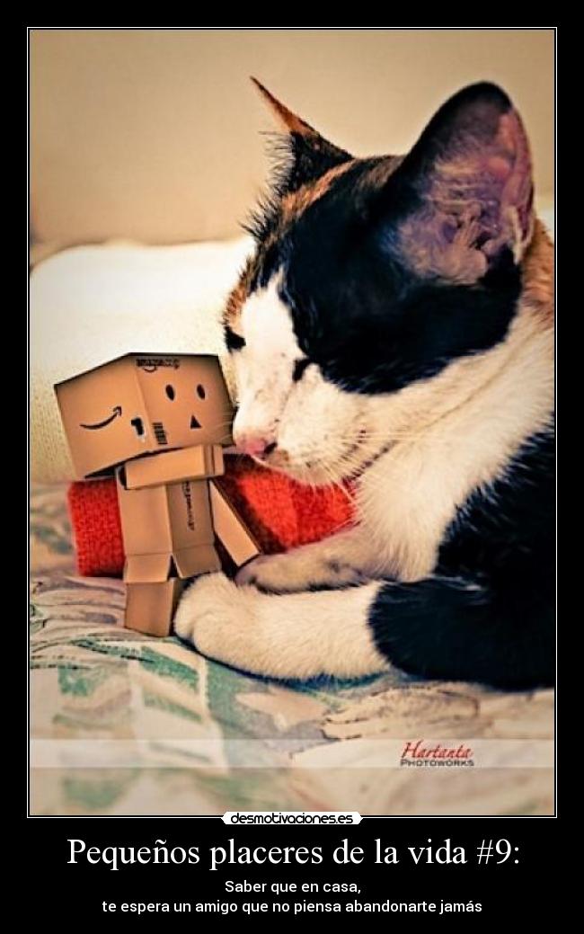 Pequeños placeres de la vida #9: -