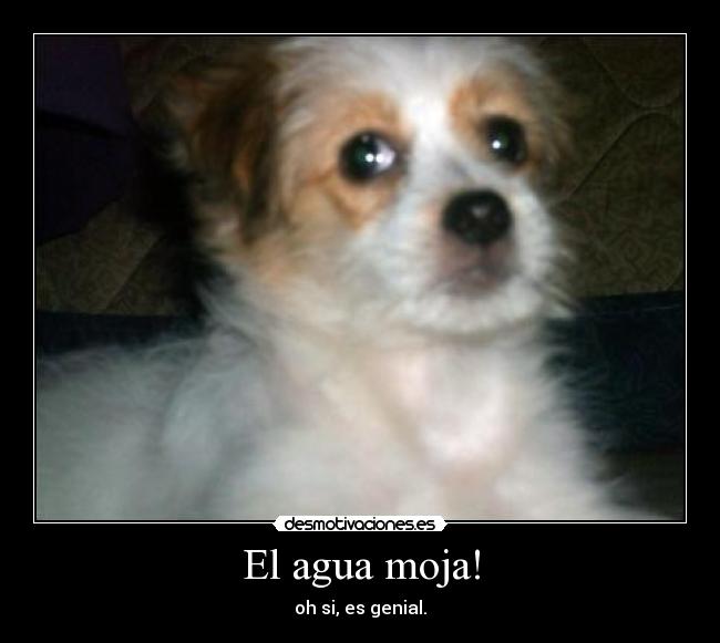 El agua moja! -