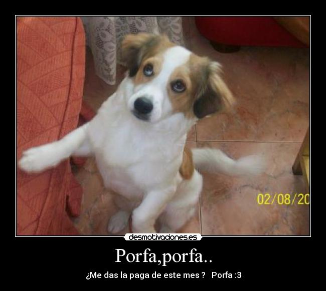 Porfa,porfa.. -
