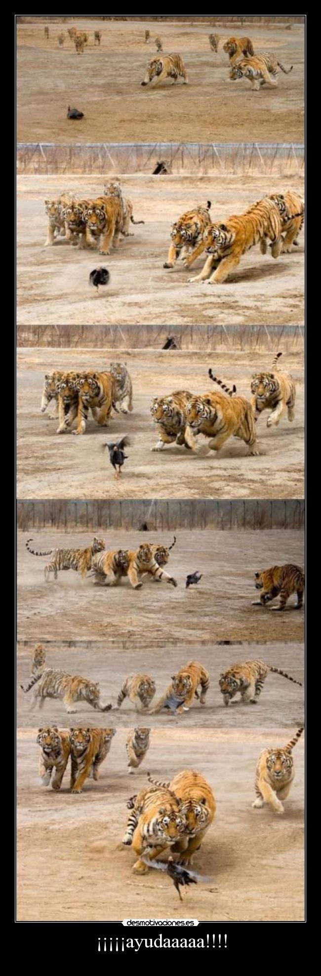 ¡¡¡¡¡ayudaaaaa!!!! -