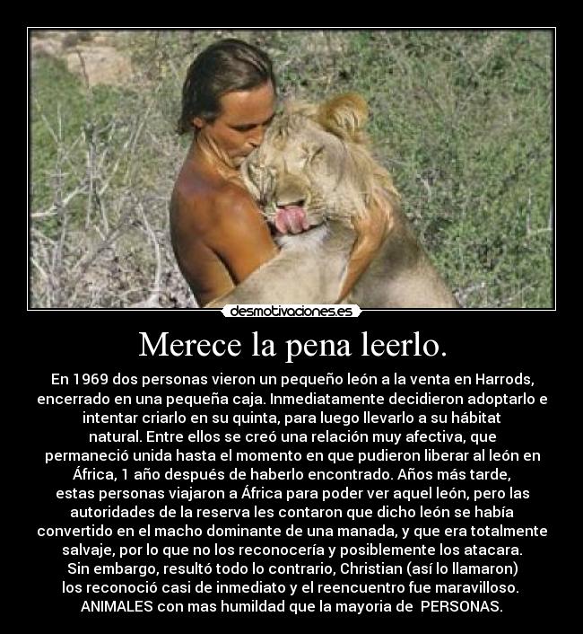 Merece la pena leerlo. -