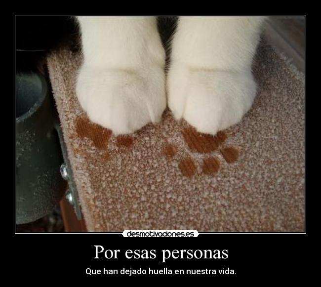 carteles siemprehayalguienquemarcaalgunhecho desmotivaciones