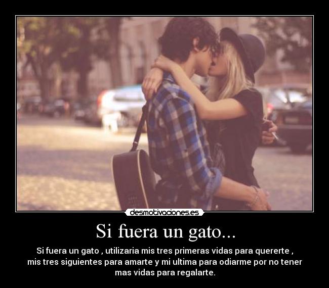 Si fuera un gato... - Si fuera un gato , utilizaria mis tres primeras vidas para quererte ,
mis tres siguientes para amarte y mi ultima para odiarme por no tener
mas vidas para regalarte.