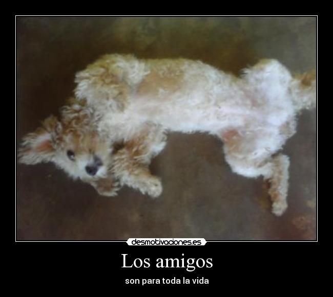 Los amigos -