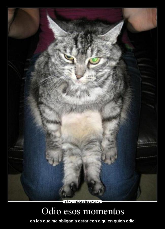 Odio esos momentos -