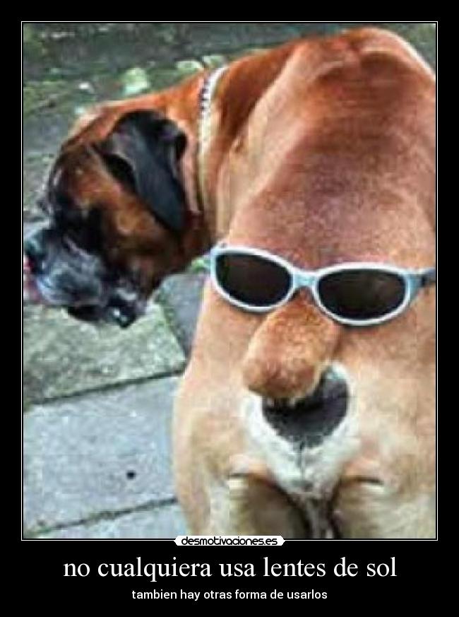 no cualquiera usa lentes de sol - tambien hay otras forma de usarlos