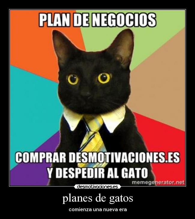 carteles gatos van banear gatito agrada este cartel desmotivaciones