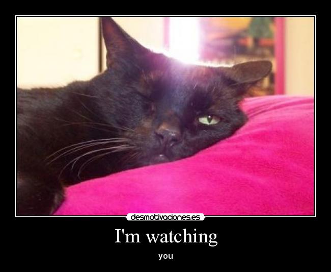 Im watching -