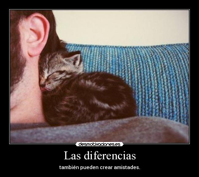 Las diferencias - 