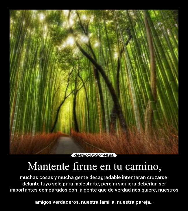 Mantente firme en tu camino, - muchas cosas y mucha gente desagradable intentaran cruzarse
delante tuyo sólo para molestarte, pero ni siquiera deberían ser
importantes comparados con la gente que de verdad nos quiere, nuestros
amigos verdaderos, nuestra familia, nuestra pareja...