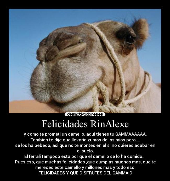 Felicidades RinAlexe - y como te prometi un camello, aqui tienes tu GAMMAAAAAA.
Tambien te dije que llevaria zumos de los mios pero....
se los ha bebedo, asi que no te montes en el si no quieres acabar en
el suelo.
El ferrali tampoco esta por que el camello se lo ha comido....
Pues eso, que muchas felicidades ,que cumplas muchos mas, que te
mereces este camello y millones mas y todo eso.
FELICIDADES Y QUE DISFRUTES DEL GAMMA:D