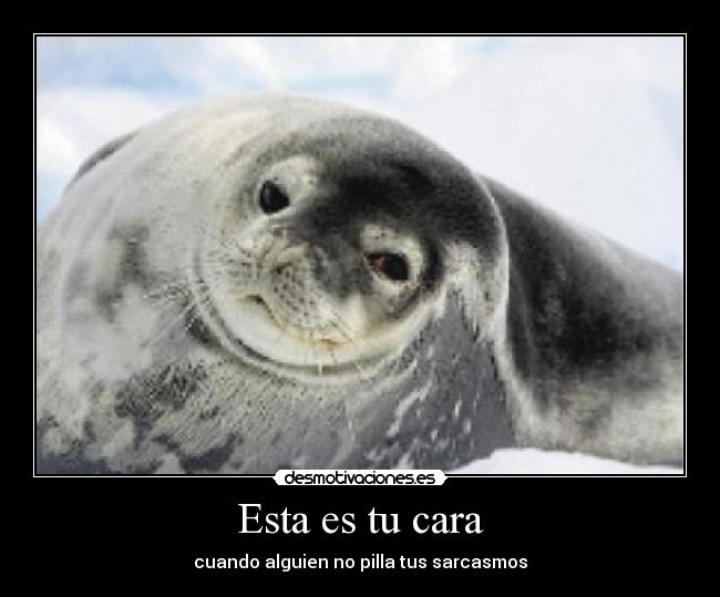 Esta es tu cara - 