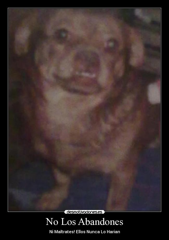 No Los Abandones - 