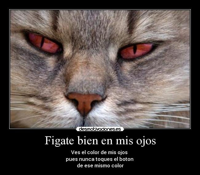 Figate bien en mis ojos -