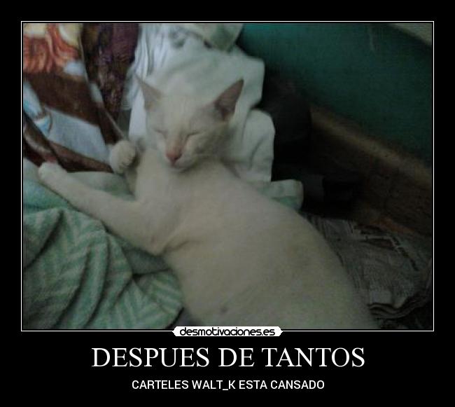 carteles verdad desmotivaciones