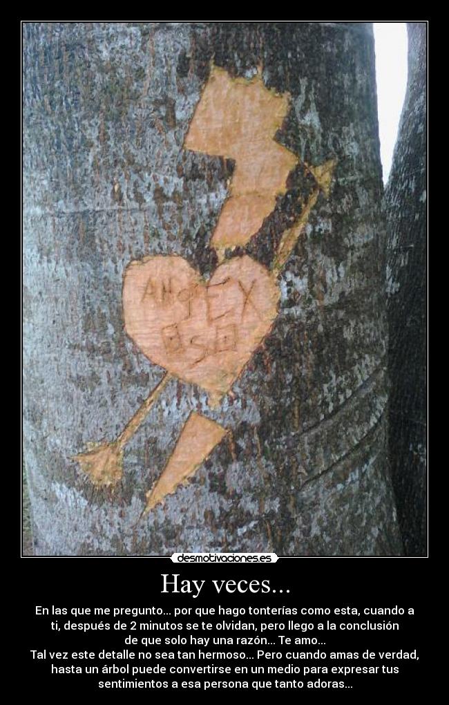 Hay veces... - 
