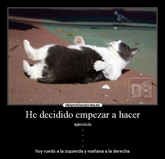 He decidido empezar a hacer - 