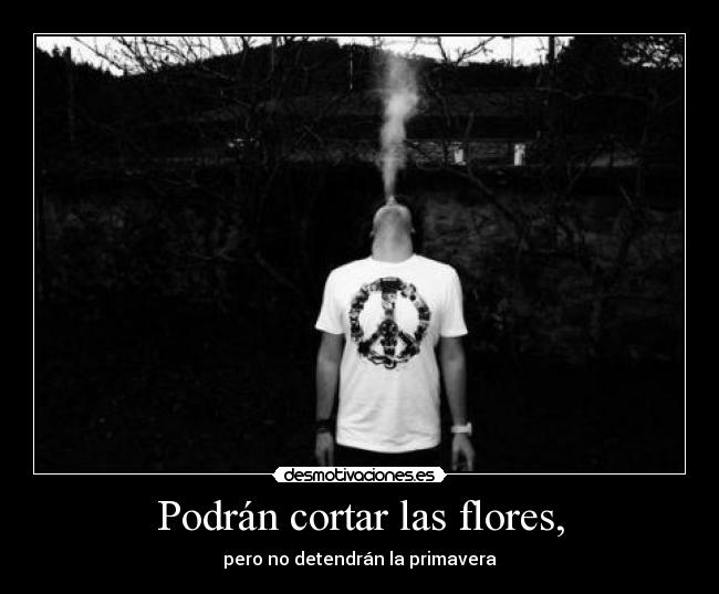 Podrán cortar las flores, -