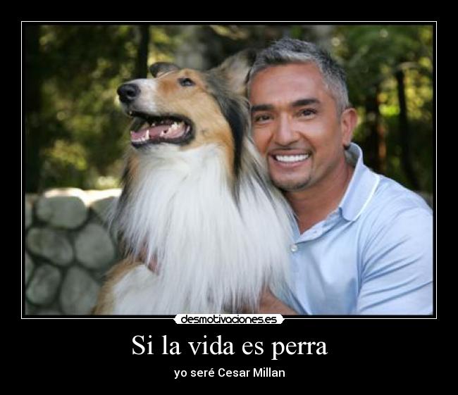 Si la vida es perra - yo seré Cesar Millan