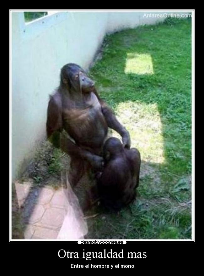 Otra igualdad mas - Entre el hombre y el mono