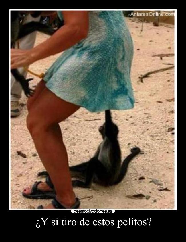 ¿Y si tiro de estos pelitos? -