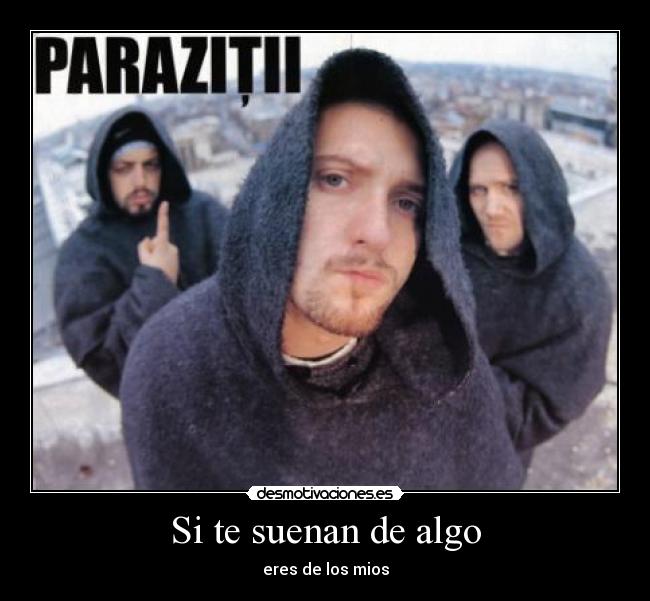 carteles parazitii romania desmotivaciones