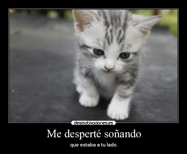 Me desperté soñando - que estaba a tu lado.