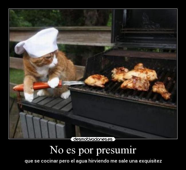 No es por presumir - que se cocinar pero el agua hirviendo me sale una exquisitez