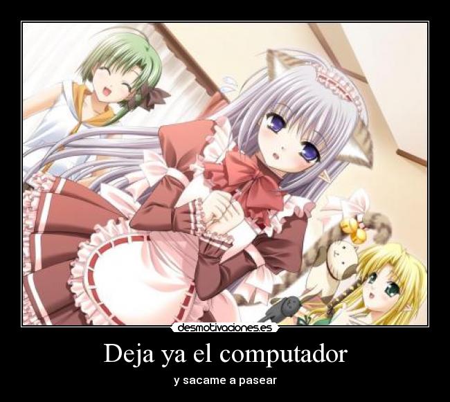 carteles shuffle neko primula desea que saques pasear desmotivaciones