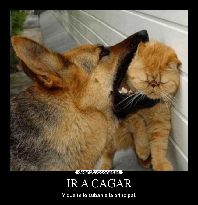 IR A CAGAR - Y que te lo suban a la principal.