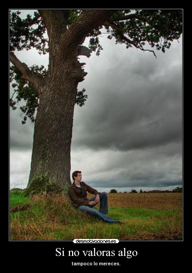 carteles mereces ariadnap desmotivaciones