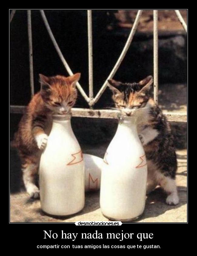 No hay nada mejor que - compartir con tuas amigos las cosas que te gustan.