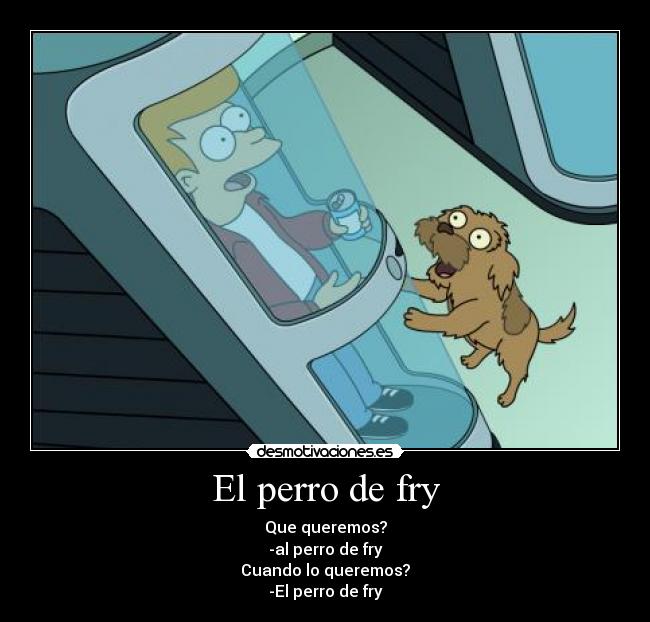 El perro de fry -