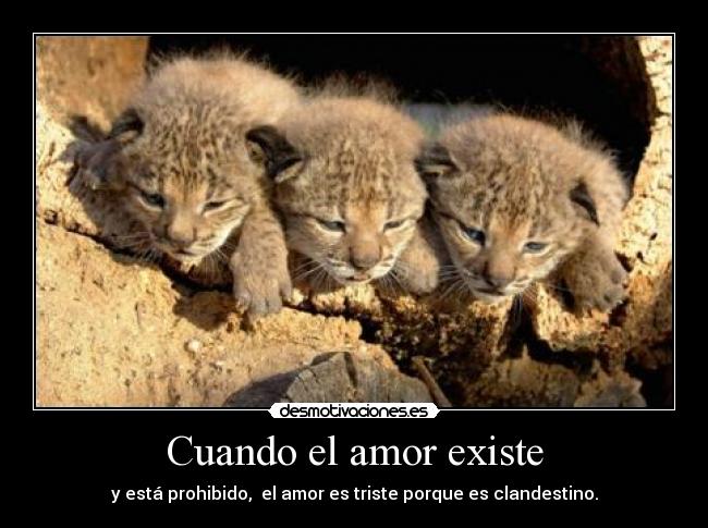 Cuando el amor existe - y está prohibido, el amor es triste porque es clandestino.