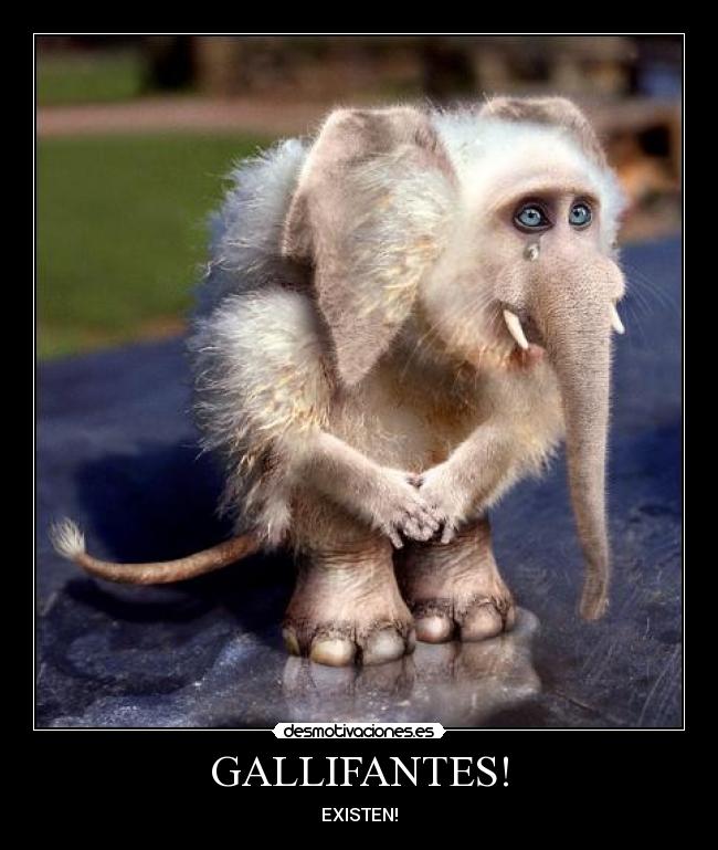 GALLIFANTES! - EXISTEN!