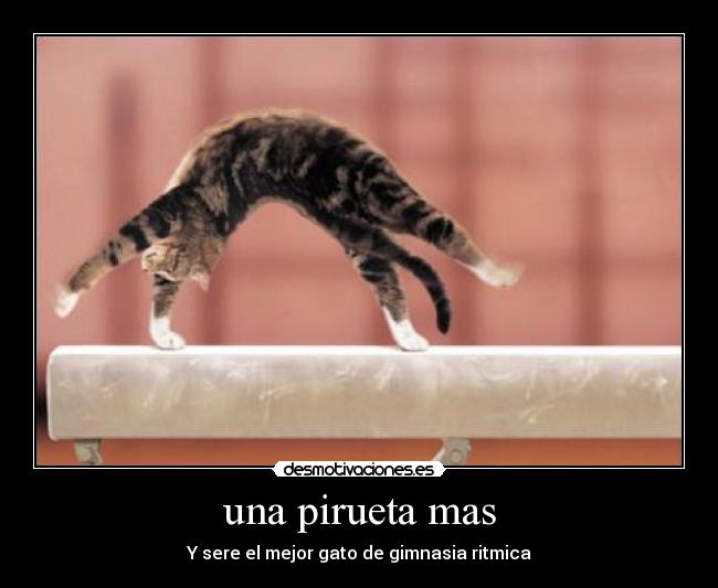 una pirueta mas - Y sere el mejor gato de gimnasia ritmica