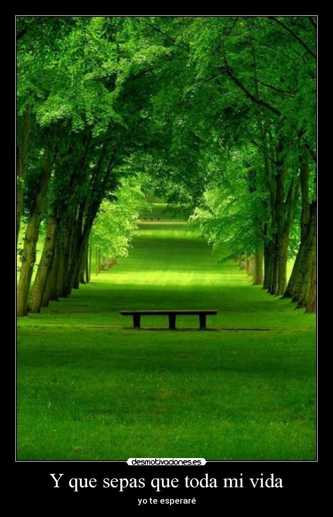 Y que sepas que toda mi vida - yo te esperaré