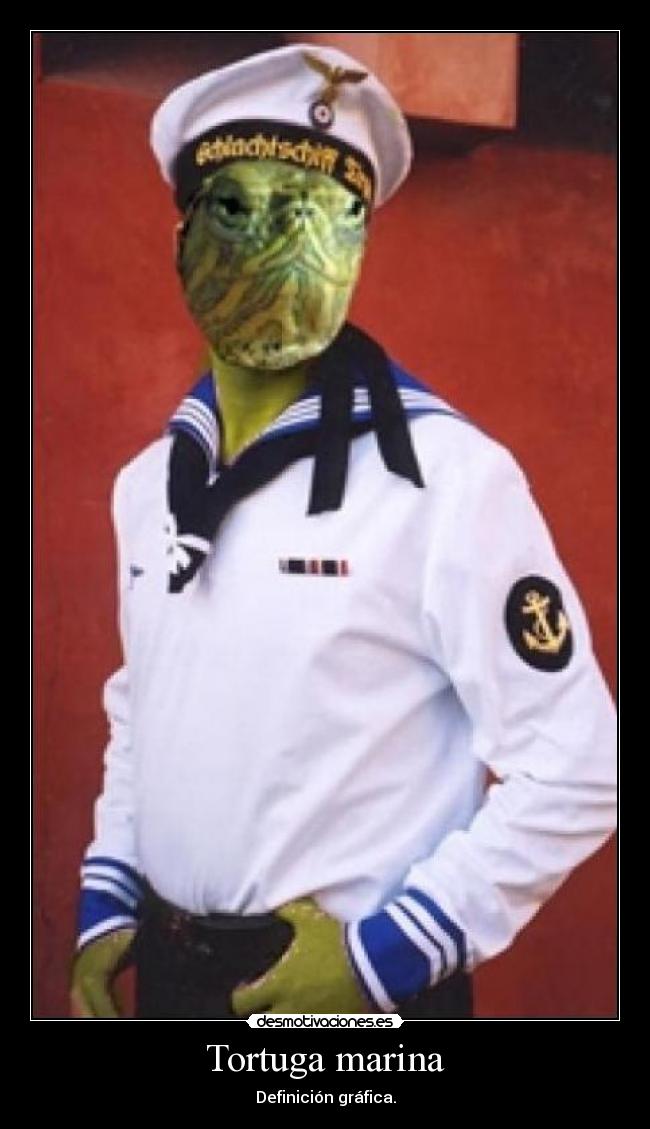Tortuga marina - Definición gráfica.