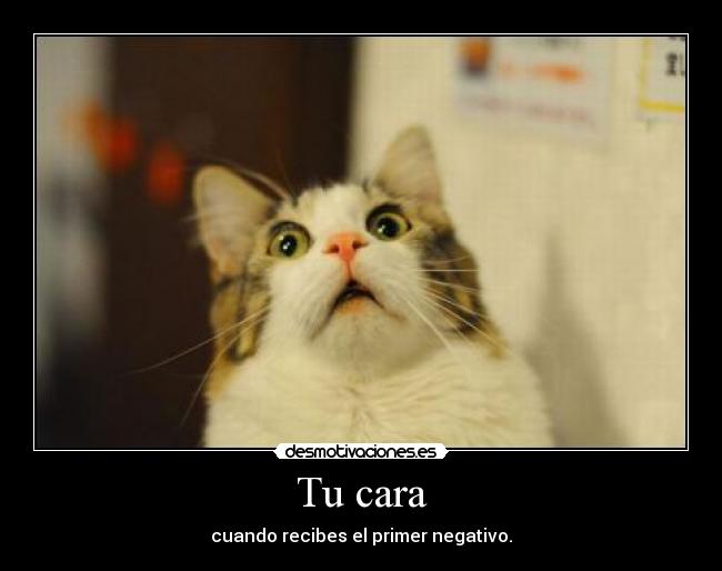 Tu cara - cuando recibes el primer negativo.