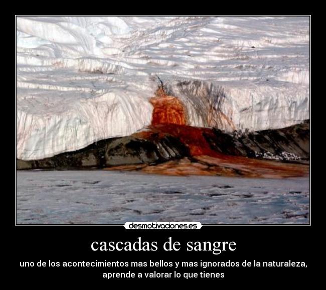 cascadas de sangre - uno de los acontecimientos mas bellos y mas ignorados de la naturaleza,
aprende a valorar lo que tienes