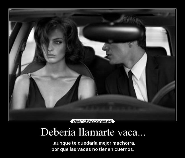 Debería llamarte vaca... -