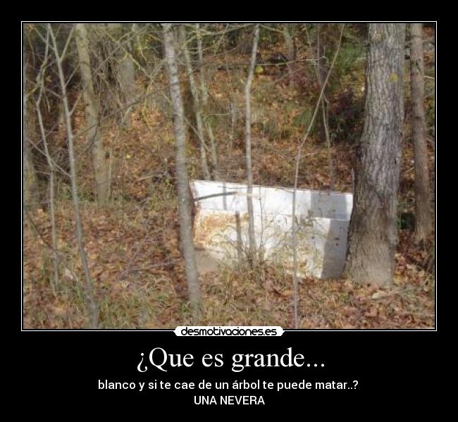 ¿Que es grande... - blanco y si te cae de un árbol te puede matar..?
UNA NEVERA