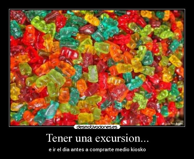 Tener una excursion... -