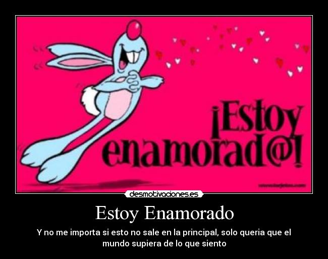 Estoy Enamorado -